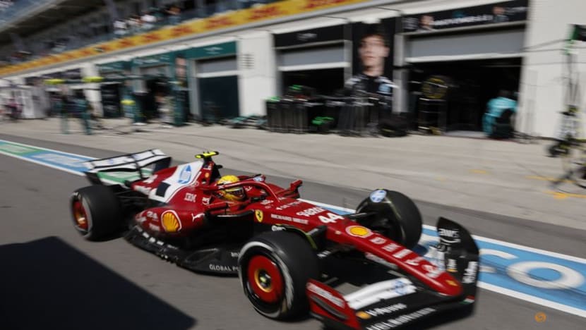 Hamilton lost performance after hitting groundhog