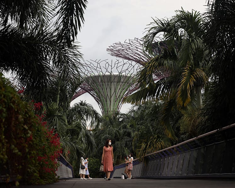 Gardens by the Bay, 3 hawker centres among places visited by Covid-19 cases while infectious
