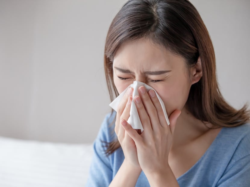 Researchers who did study are uncertain if the further lifting of Covid-19 restrictions in Singapore will cause an outbreak of seasonal influenza. Researchers who did study are uncertain if the further lifting of Covid-19 restrictions in Singapore will cause an outbreak of seasonal influenza.