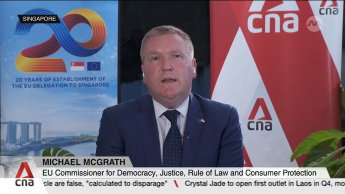 EU commissioner Michael McGrath on enforcing digital regulation - CNA