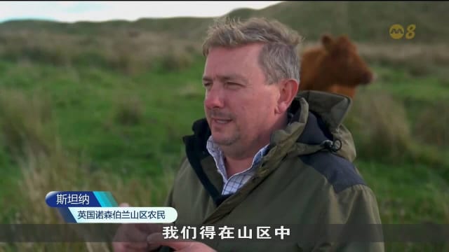 政府补助缺位或不适用 脱欧冲击英国山区农民生计