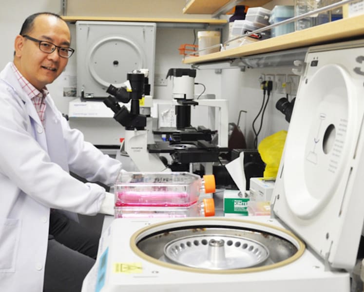 NUS researchers find new promise in old cancer drug