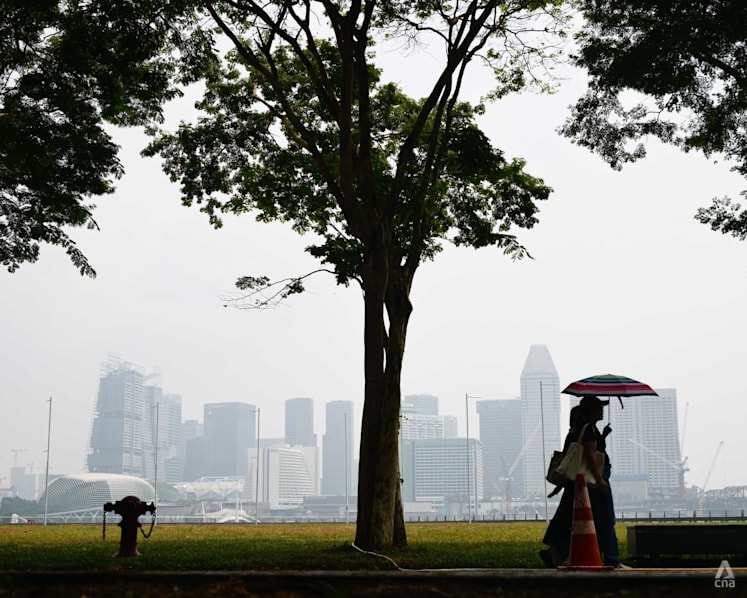 Haze in Singapore: Air quality at unhealthy range in two regions Haze in Singapore: Air quality at unhealthy range in two regions