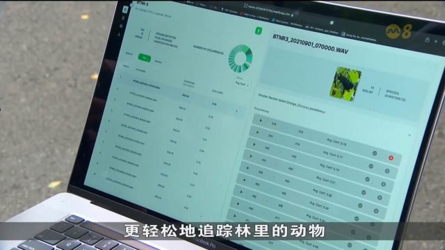 首届向善编程加速器计划 协助五组公民团队落实方案