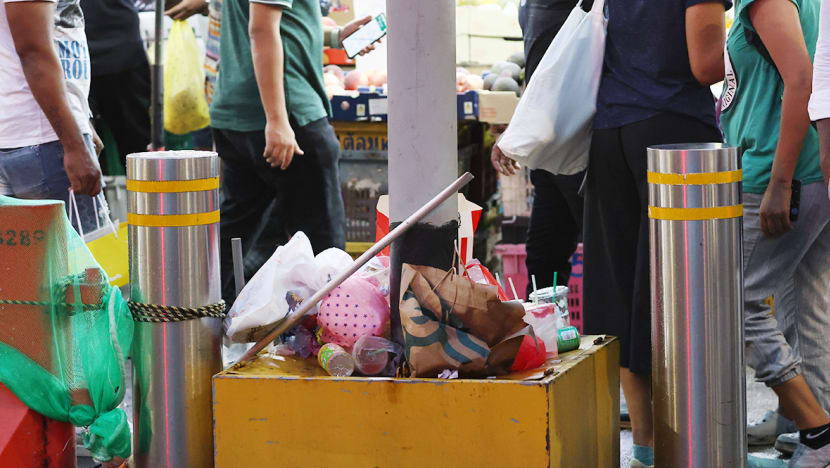 Govt mulls publicising litterbugs' photos to identify them as part of 'targeted' response to rise in cases