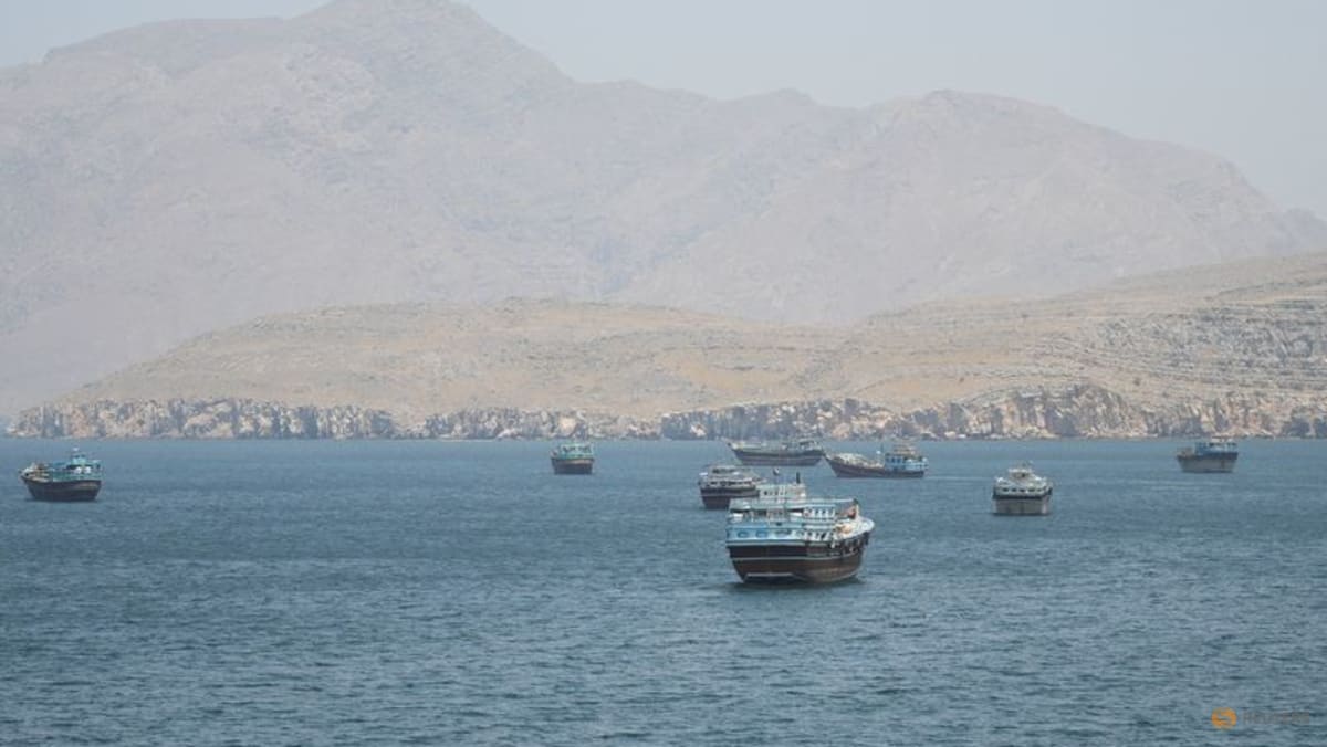 UK, France to host defence ministers meeting on Hormuz