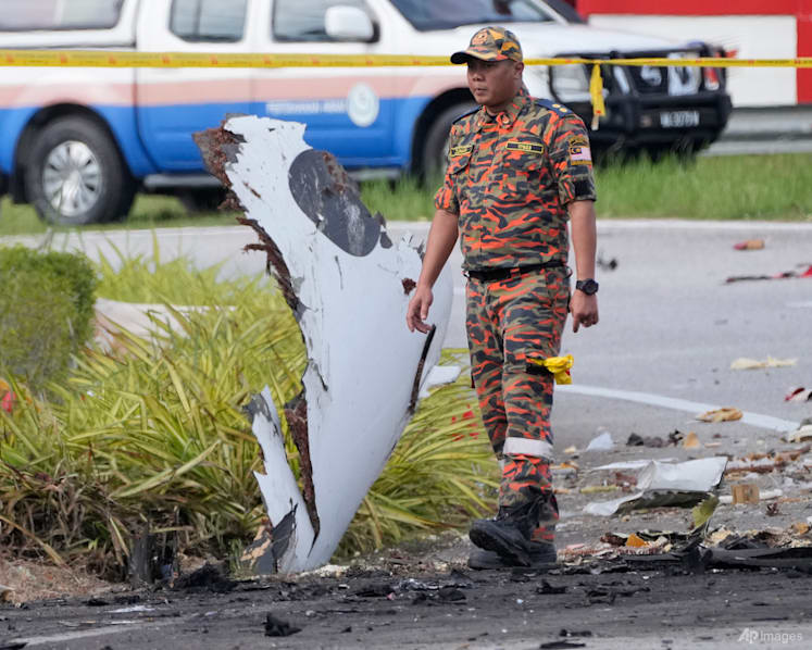 'I love you mama': Pilot's last words to his mother in Malaysia plane crash