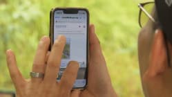 Related article image