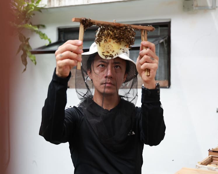 Meet the 42-year-old beekeeper who once saved bees from an airplane engine