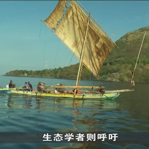 印尼村落靠捕捉鲸鱼充饥 不寻求商业牟利