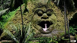 Related article image