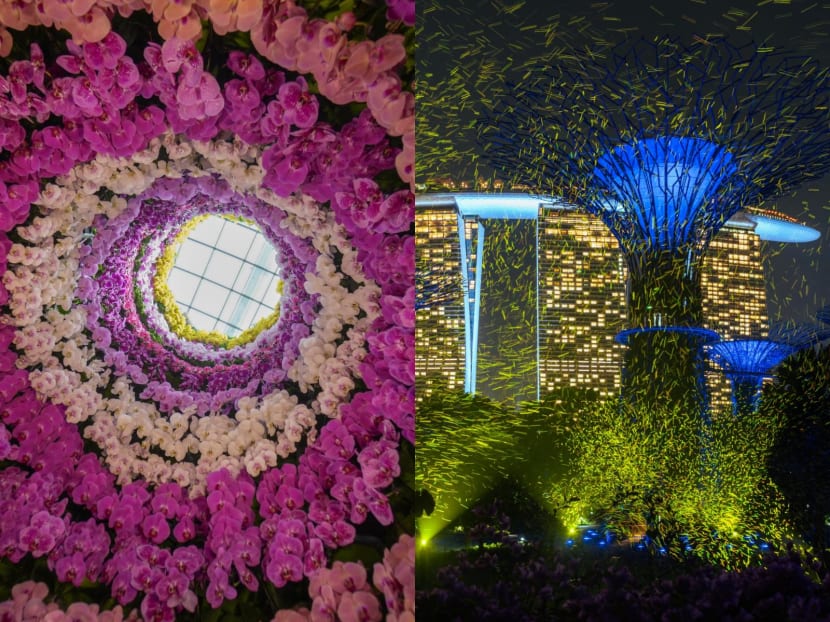 Head to Gardens by the Bay for a fireflies-inspired light show and giant orchid display