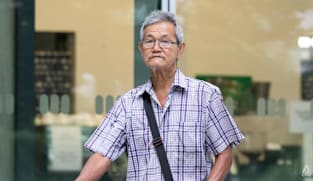 77-year-old man charged with freeing crows, disrupting NParks' trapping operation