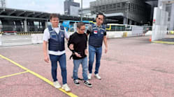 Related article image
