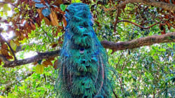 Related article image