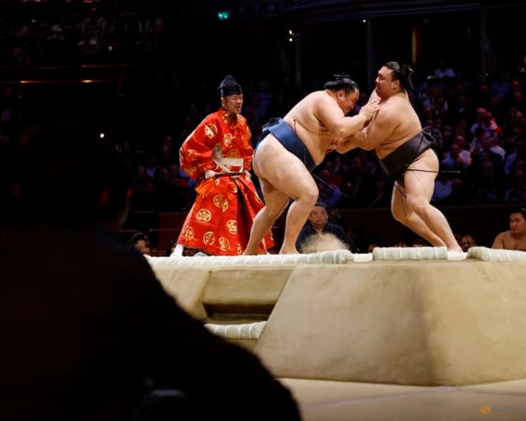 Sumo-Wrestlers bid farewell to London after Hoshoryu claims trophy