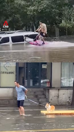 Chinese residents make the most of flooding with water sports, pet rafts