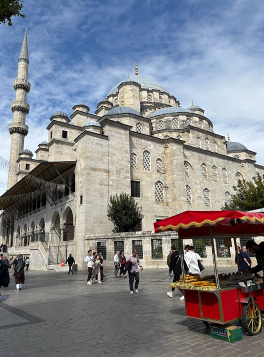 Related article image