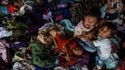 Related article image