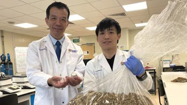 南大研究员研发出从啤酒糟中提取蛋白质的方法
