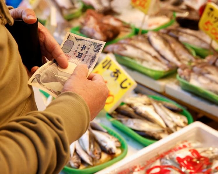 Japan's wholesale inflation slows, import costs flatten on weak yen