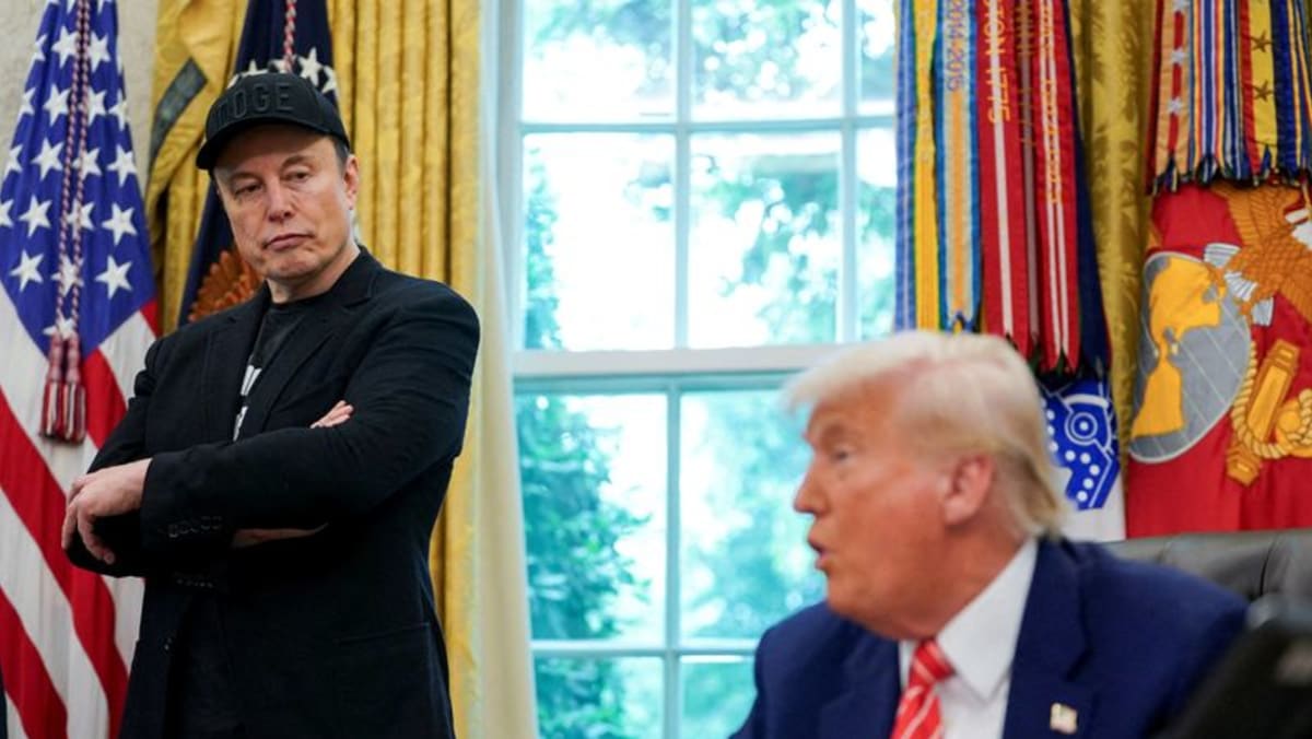 Musk says he regrets some posts he made about Trump