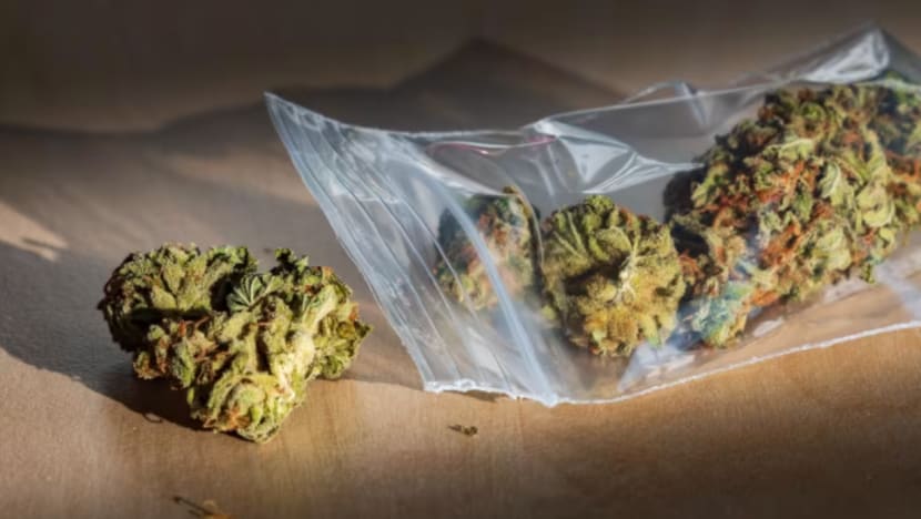 Bekas pembantu anggota politik Malaysia didakwa edar ganja