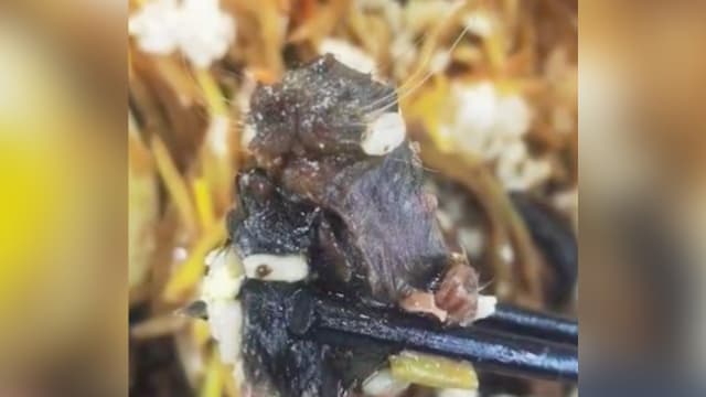 中国大学食堂饭菜中出现疑似老鼠头 