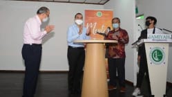 Related article image