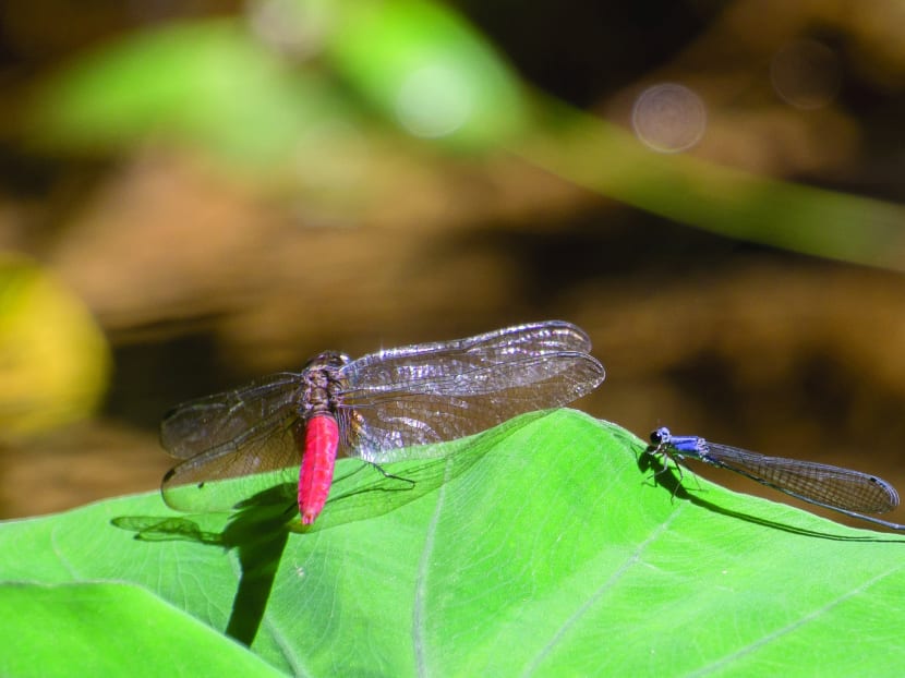 Why nature is catching on as “the thing to do” these days