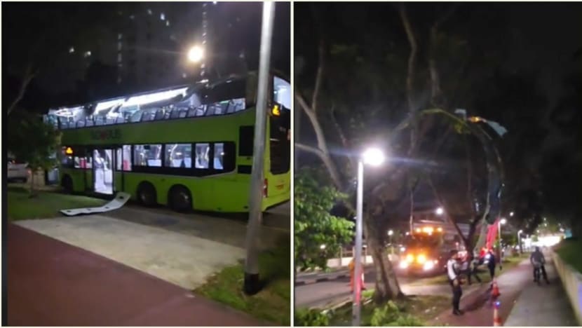 Passenger injured after double-decker bus crashes into tree branches in Bishan Passenger injured after double-decker bus crashes into tree branches in Bishan