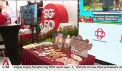 National Day heartland celebrations will see 60 SAF and Home Team vehicles forming mobile column 