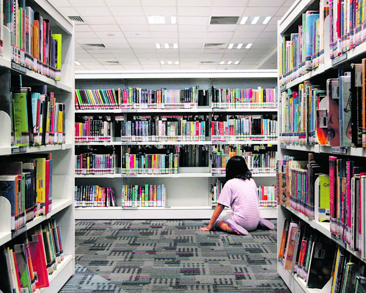 Revamped libraries to open in next few years: Sim Ann