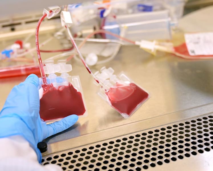 Locked vaults, daily temperature checks: An inside look at a cord blood bank and its safety measures