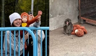 Lisa BLACKPINK kunjungi Punch, monyet kesepian yang dicampakkan ibu dan kelompoknya