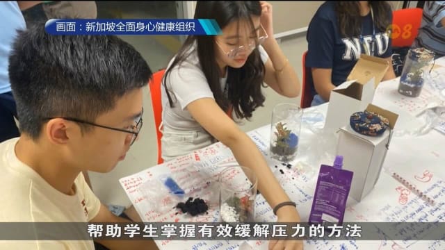 心理健康协会推出一系列休闲娱乐活动 助青少年减轻压力