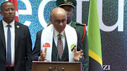 Related article image