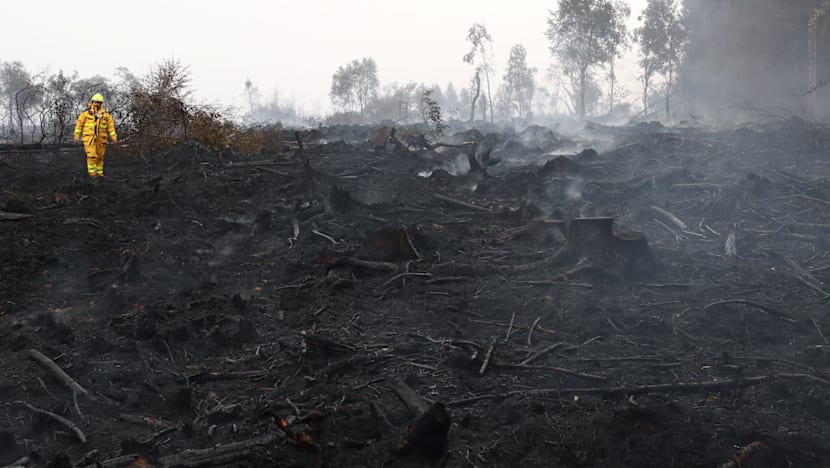 Rainfall aids fight against Belgium's biggest wildfire, as blazes rip through Europe