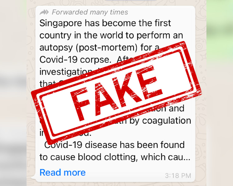 Message claiming S’pore changed Covid-19 treatment protocols after autopsy on patient untrue: MOH