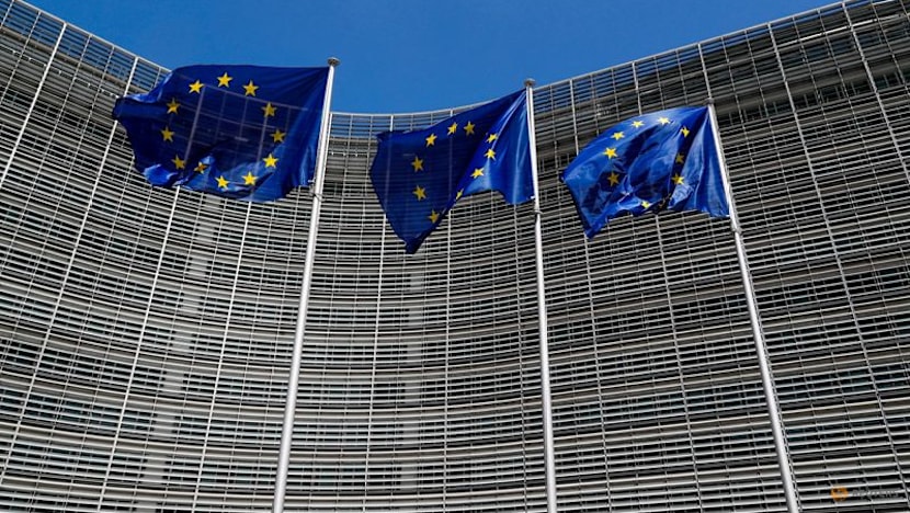 EU lawmaker urges delay to US trade deal vote after tariff upheaval