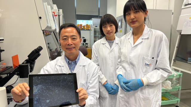 杜克-国大医学院培育出脑细胞 有望用于治疗脑部疾病