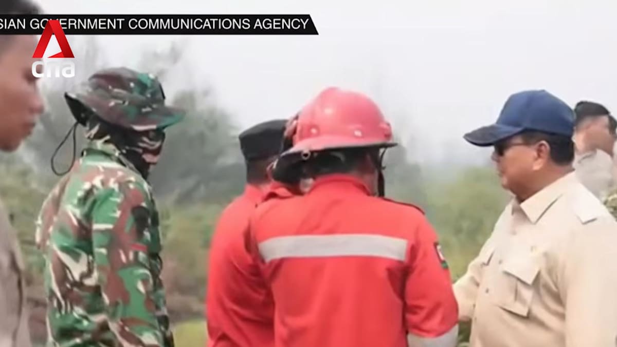 Indonesia wildfires: President Prabowo vows to hold companies behind blazes accountable