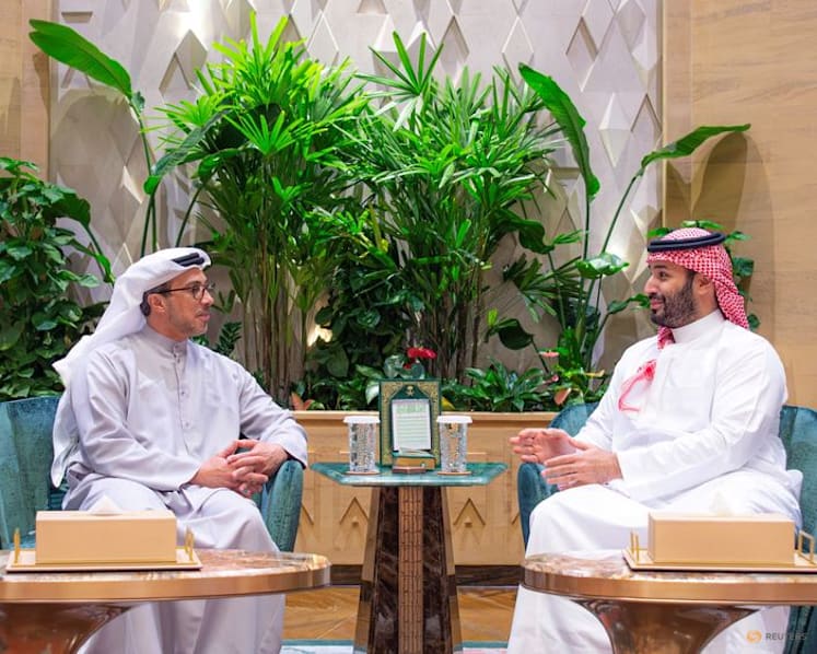 Saudi crown prince, UAE vice president meet in Riyadh: official media