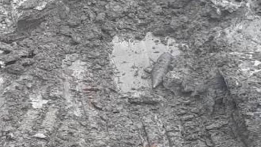 SAF to carry out on-site disposal of WWII bomb along Jiak Kim Street