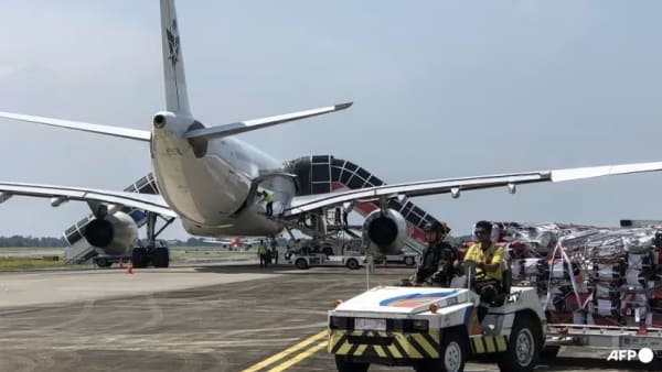Pesawat bawa ratusan jemaah haji Indonesia dilencongkan susuli ancaman bom; kes kedua dalam seminggu