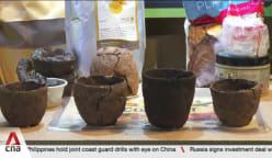Youths come up with green solutions with National Environment Agency 