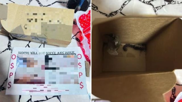 寄死蝎子和活蜘蛛讨债 女子涉大耳窿骚扰案被捕