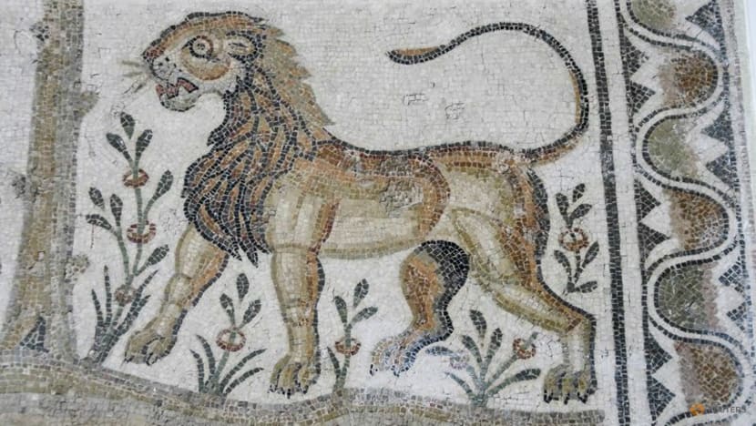 Bite marks reveal gladiator's fatal encounter with a lion in ancient Britain
