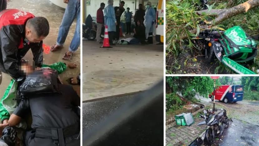 Penghantar makanan GrabFood maut dihempap pokok ketika ribut di M'sia Penghantar makanan GrabFood maut dihempap pokok ketika ribut di M'sia
