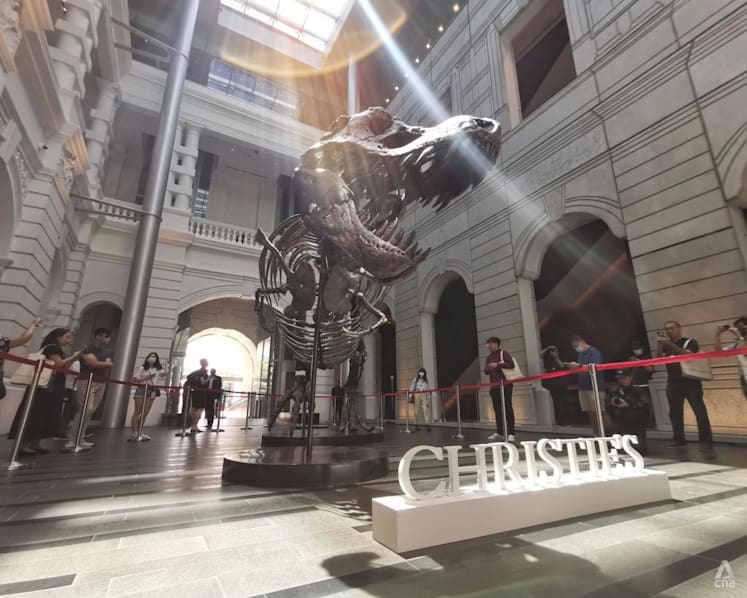 T-Rex skeleton pulled from Hong Kong auction